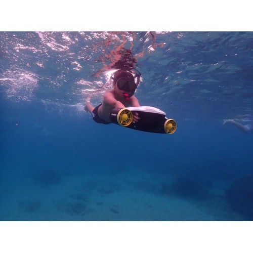 Yamaha Seawing 2 Seascooter Yamaha Seawing 2 Seascooter